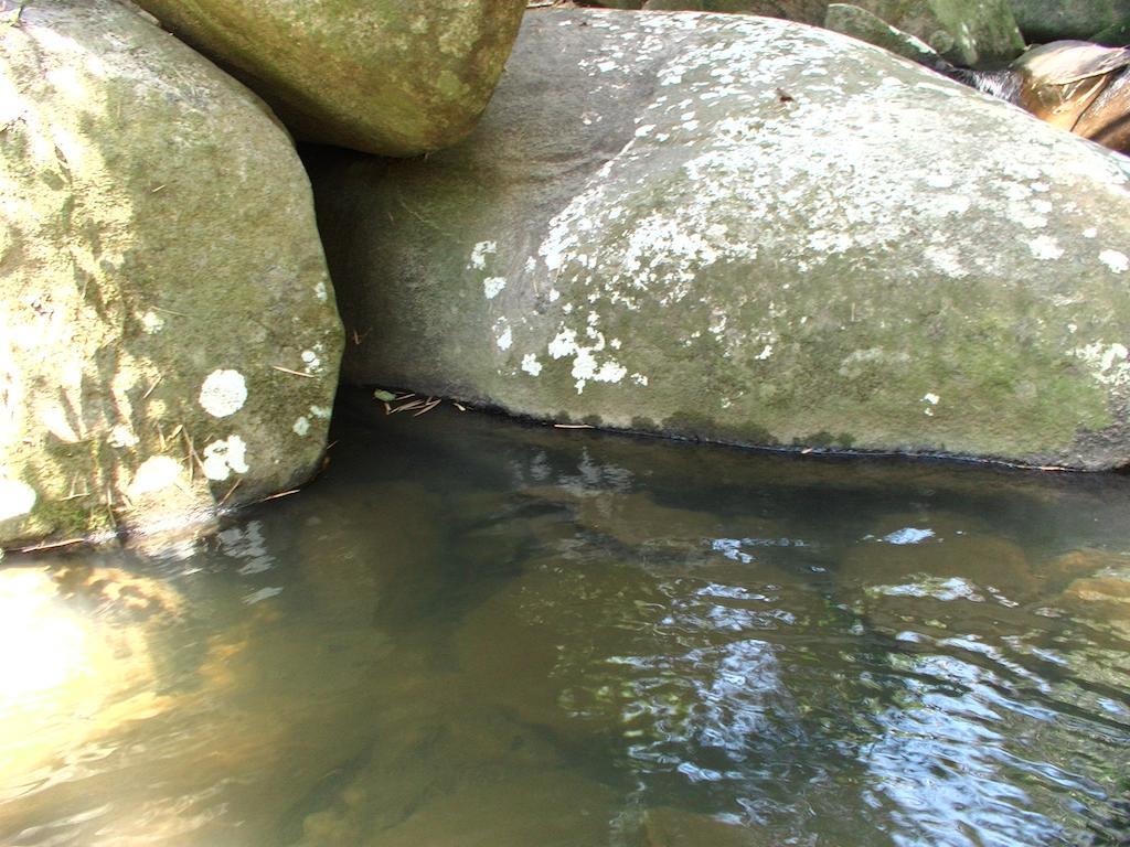 Ytororo O Som Das Aguas Paraty Luaran gambar