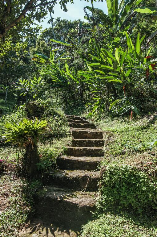 Ytororo O Som Das Aguas Paraty Luaran gambar