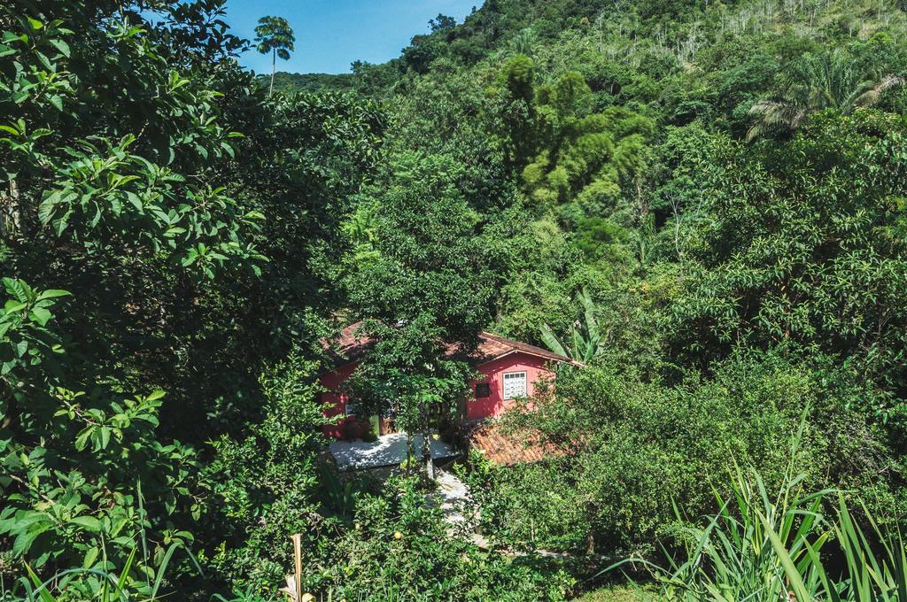 Ytororo O Som Das Aguas Paraty Luaran gambar